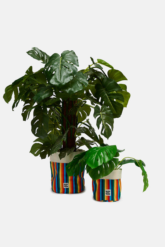 Runa - Plant Pot Covers in Rainbow Stripe Print (2 Pack)