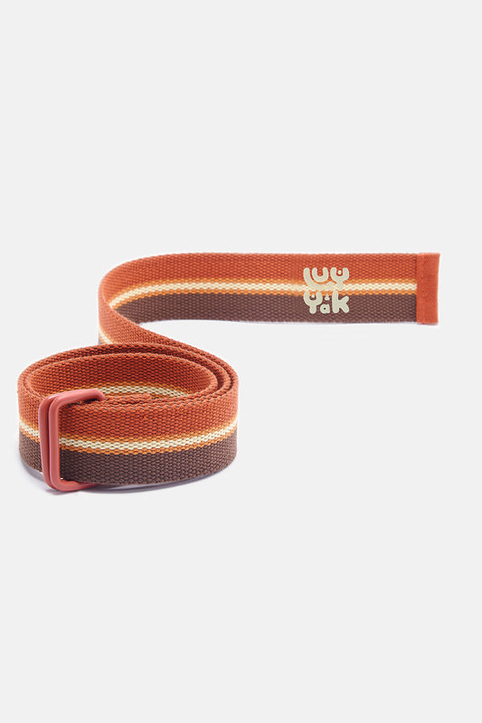 Flynn - D-Ring Cotton Webbing Belt in Retro Stripe